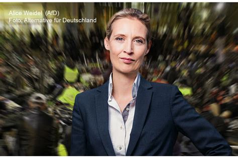 Er ist ein deutscher fernsehjournalist der ard und darf sich ab sofort ins heer der hofberichterstatter einreihen. Alice Weidel (AfD) fordert Rücktritt von Präsident Macron ...