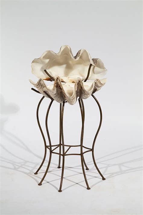 Shop for clam shell art from the world's greatest living artists. Large clam shell on wrought metal base - Natural History ...