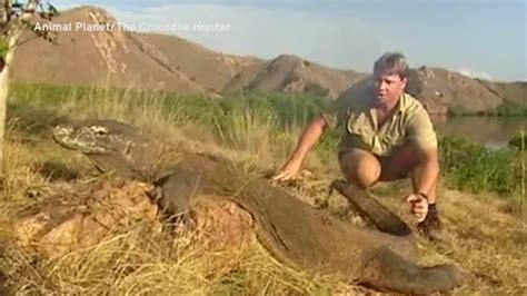 See more ideas about steve irwin, irwin, irwin family. Steve Irwin's niece shrugs off family feud with red hot ...