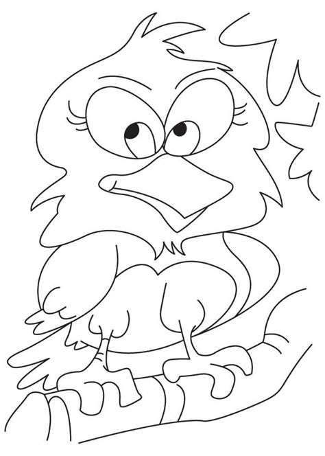 Cute baby owl coloring pages. Cute Owl Coloring Pages - Coloring Home