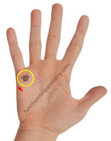 The palmistry professional breaks down the basics of reading palms for us below. Business Money Lines And Excellent Success In Your Hands?-Palmistry in 2020 | Business money ...