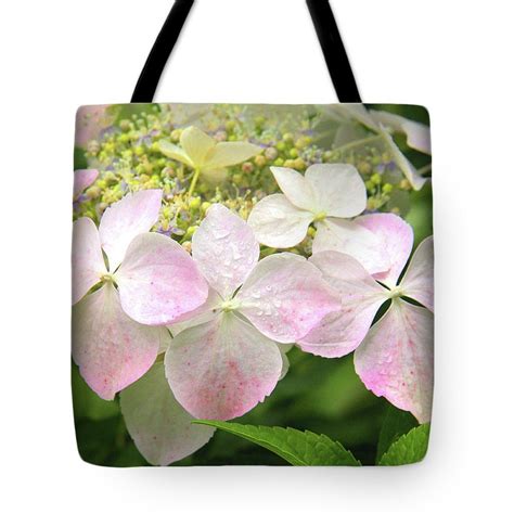 Fortunately, there are cut flowers for sale just about everywhere. Sugar Pink Hydrangea Flower Tote Bag for Sale by Nareeta ...