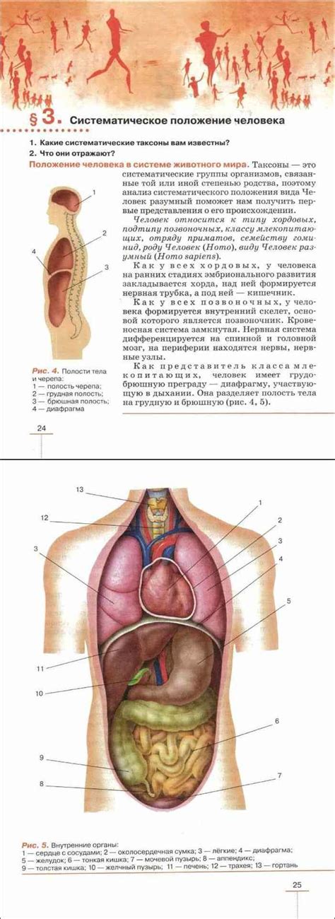 Картинки из учебника по биологии 8 класс