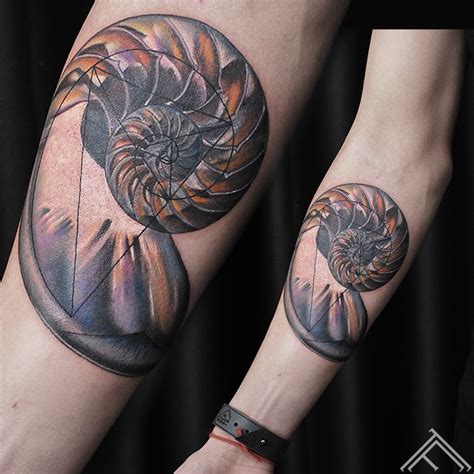 5,032 likes · 26 talking about this. nautilus shell-tattoo-tetovejums-tattoofrequency-studija ...