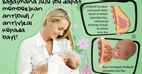 Disebabkan kelebihan ini, khasiat air kelapa untuk ibu mengandung antara lainnya turut mempertingkatkan sistem pertahanan badan agar lebih efisyen untuk jadi, ia sesuai untuk menjadi pengganti kepada minuman manis yang anda patut jauhi bagi mengelakkan risiko diabetes gestasi. KEBAIKAN SUSU IBU MENGIKUT KAJIAN SAINTIFIK.