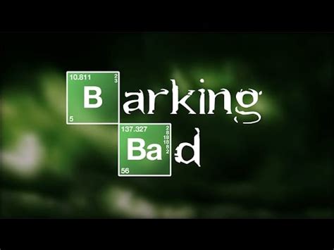 The official instagram account for #breakingbad and #elcamino: Barking Bad - YouTube