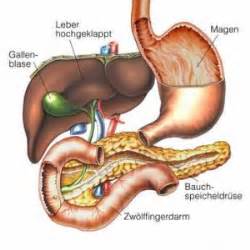 Fast immer wird die gallenblase dann entfernt. Gallenblase - Funktion, Erkrankungen & Behandlungen