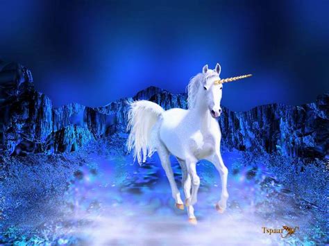 Cheval aquarelle poil aquarelles chevaux paysages. Coloriage Licorne cheval légendaire à imprimer et colorier