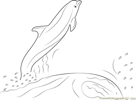 Discover these dolphins coloring pages. Dolphin Jumping Out of the Water Coloring Page for Kids ...