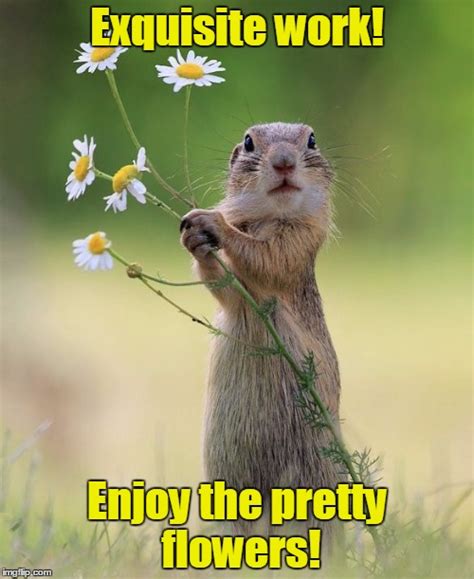 Thinking of you flowers meme. 29 Flower Meme That Make You Laugh All Day - Preet Kamal