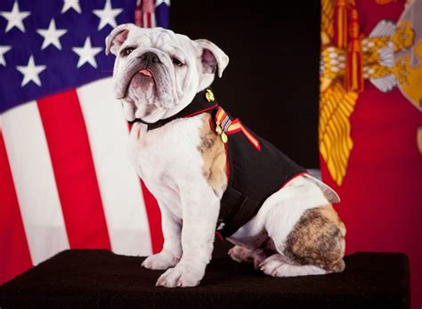 In philosophy, an aporia is a conundrum or state of puzzlement. La définition de Aporie - Le dictionnaire des jolis mots