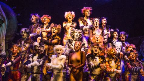 Follow cats on tour's instagram account to see all 704 of their photos and videos. Petition · Sh-k Boom & Ghostlight Records: 2016 CATS revival cast recording · Change.org