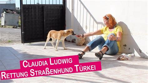 Da immer wertvolle tipps rund ums tier gegeben werden, ist die sendung auch für tierfreunde interessant, die nicht auf der suche nach einem neuen tier sind. Tiere Suchen Ein Zuhause Claudia Ludwig