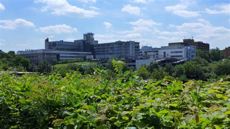 Rbk.de befindet sich auf rang 37.855 in deutschland. Robert-Bosch-Krankenhaus:: MGRS 32UNV1306 :: Geograph ...