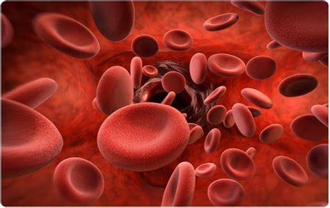 It can be a sign of anemia, an infection, or even bleeding. 7 Foods To Increase Hemoglobin Levels In The Body | Diet ...