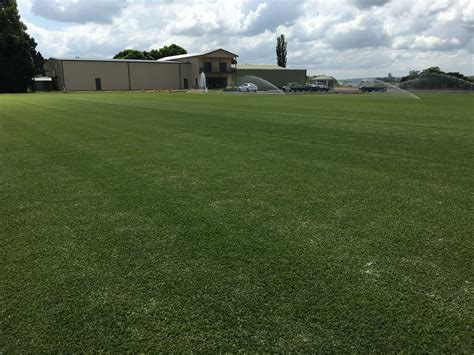 Sir walter buffalo grass was developed by brent redman of the hunter valley in the mid 1990's with the australian climate and lifestyle in mind. Sir Walter Buffalo Is A Good Choice For A Buffalo Lawn in ...