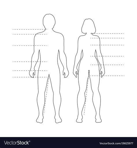 Normally you can't feel the. Man and woman human body silhouettes Royalty Free Vector