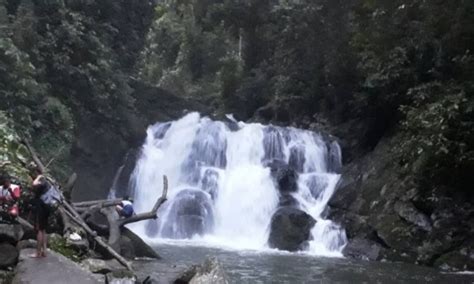 Meski lokasinya cukup susah dijangkau dan belum. Taman Wisata Ds.pulau Buayo Kabupaten Sarolangun, Jambi ...