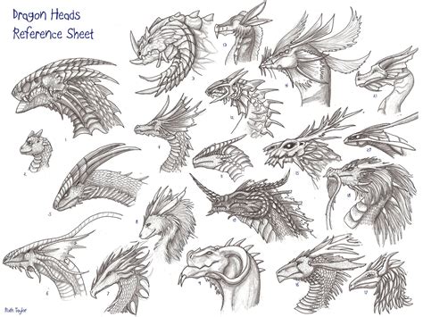 How do you draw a dragon face? Dragon heads reference sheet | Dragon head drawing, Dragon ...