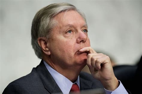 Lindsay graham clashed with the ceo of costco over a $15 minimum wage increase. Does Congress Care About Trump's Emergency? | The New Yorker