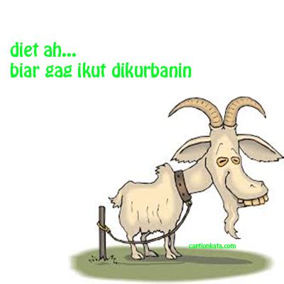 Maybe you would like to learn more about one of these? √ Gambar DP BBM, Meme Lucu Hewan Qurban Idul Adha Terbaru ...