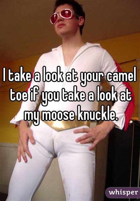 Your camel toe it looks alright so baby let it show looks like a big taco i see your camel toe (merci madame, voila le bearded clam). I take a look at your camel toe if you take a look at my ...