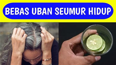 Pastikan airnya tidak terlalu panas. SEMUA TERKEJUT !! Cara Hilangkan Rambut Uban Dalam Sekejap ...