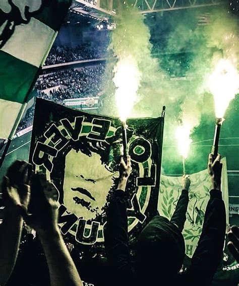 Malmö ultras vs hammarby kgb hooligans. Hammarby bajenfans | Fotboll