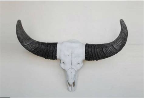 The skull has been fully carved by hand with much care. bol.com | Stier schedel met hoorns - Wit - Hangend