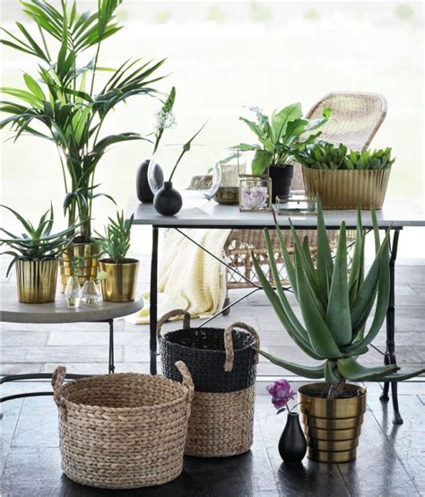 Ikea's modern scandinavian designs are attractive, inexpensive and fit in almost anywhere. 15 Best IKEA Alternatives for Every Design Lover