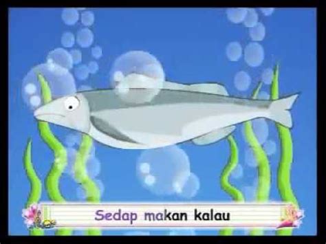 Lagu kanak melayu malaysia ikan kekek mak iloi iloi. Ikan kekek - Lagu Kanak-kanak - YouTube