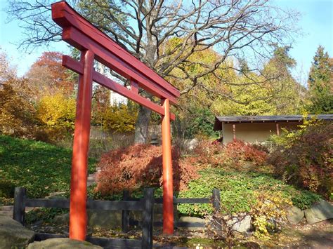 Der japanische garten in kaiserslautern. Bonsai - Gemeinschaft: Die Saison Beginnt im Japanische ...