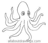 A large oval and a smaller circle will do the trick. Octopus Drawings In Pencil