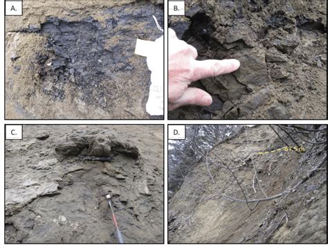 60 ft to m (60 foot to meters) converter. Photographs showing selected features in the upper 50 ...