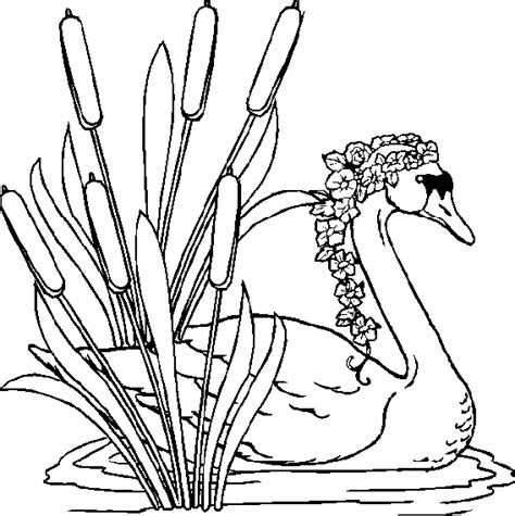 Select from 35919 printable coloring pages of cartoons, animals, nature, bible and many more. The Swan (coloring page) • KidExplorers • ChristianAnswers.Net