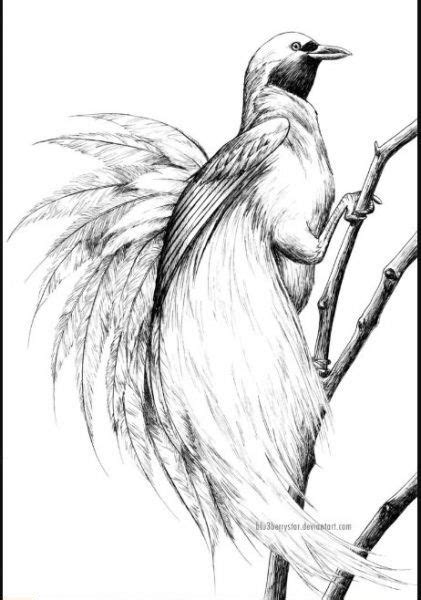Download gambar sketsa lovebird koran madura docslide br gambar. 30+ Contoh Gambar Kartun Burung di 2020 | Sketsa, Kartun ...