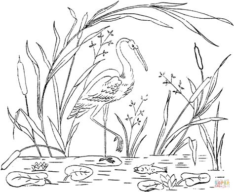 More than 5.000 printable coloring sheets. Stork Coloring Pages | Free Coloring Pages - Coloring Home