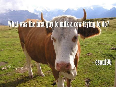 Une suissesse ― a swiss person female. 20 Simply Genius Shower Thoughts | Cow, Funny fast food ...