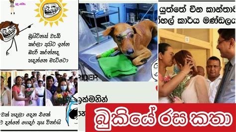 We did not find results for: Bukiye Rasa Katha | Funny Fb Memes Sinhala | 2020 - 02 ...