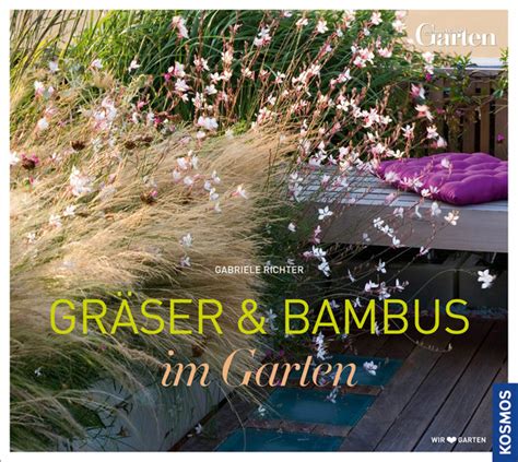 Diese sorten wachsen nicht zu groß für den durchschnittlichen garten und sind gleichermaßen geeignet für den anbau in kübeln sowie im boden. Gräser und Bambus im Garten. So schürt man Lust auf ...