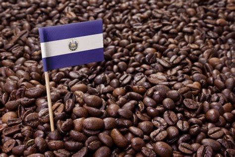 Последние твиты от ケイン・ヤリスギ「♂」 (@kein_yarisugi). エルサルバドルコーヒーの特徴 | Coffeemecca