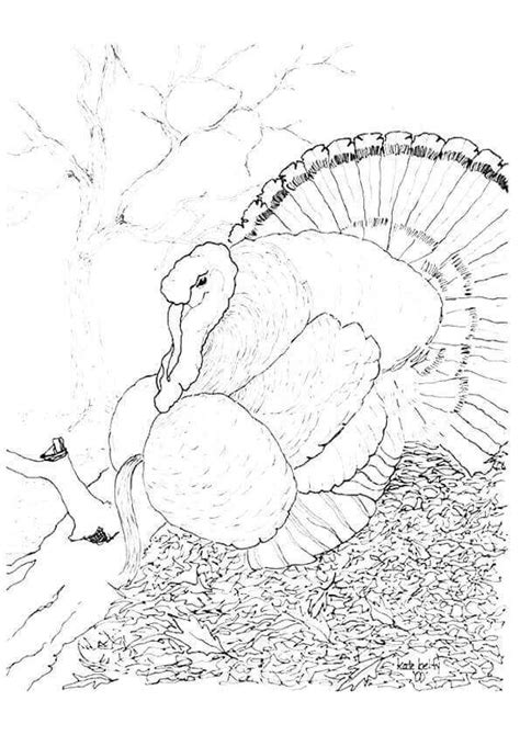 Download wild turkey coloring pages and use any clip art,coloring,png graphics in your website, document or presentation. 30 Free Turkey Coloring Pages Printable