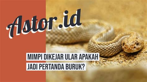 Arti mimpi ular dipercaya menimbulkan banyak pertanda. Mimpi Digigit Ular Itu Tandanya Apa - MIMPIKO