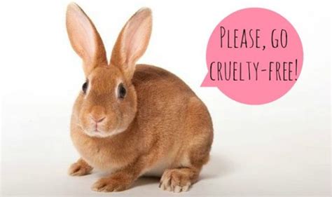 15 marcas de cosméticos aprobados en la lista de peta: Guía de Datos Cruelty Free