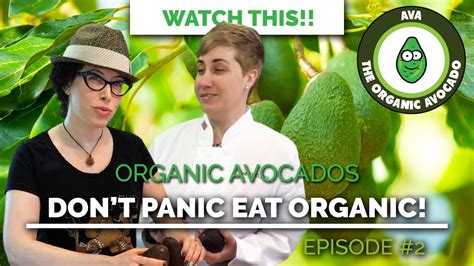 Maybe you would like to learn more about one of these? Don't Panic Eat Organic! - Episode 2 - YouTube