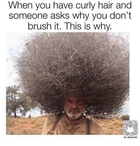 Funny! image by Lisa White | Curly hair styles, Funny ...