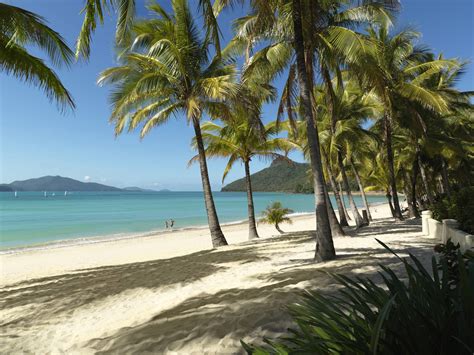 Hamilton island is situated in the heart of the whitsundays and is one of 74 tropical islands that lie between the queensland coast and the great barrier reef. Frangipani Hamilton Island | Whitsunday Holidays