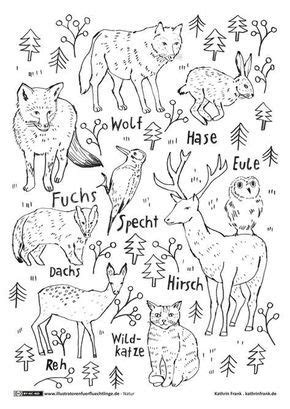 Malvorlage wald pdf coloring and malvorlagan pinterest christmas family pictures outfits. Ausmalbild oder Abpausen für Kinder - Natur Waldtiere ...