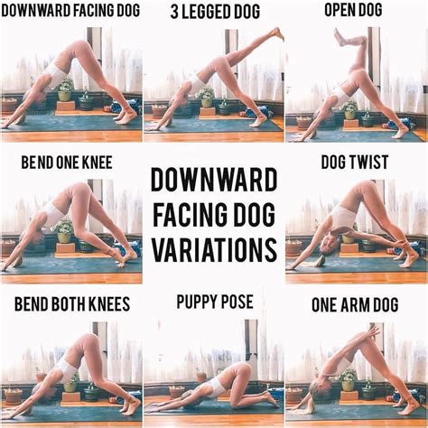 Poi dog pondering have ripened into. 🐶LET'S GET DOWN, DOG🐶 . Downward Facing Dog might be the ...