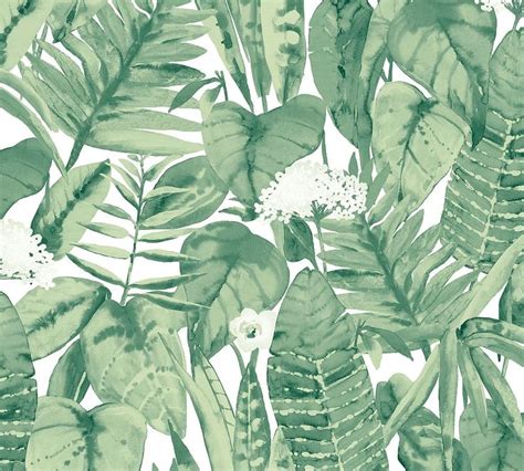 See more ideas about leaf identification, tree leaves, tree leaf identification. Tropical Jungle Green Leaf Wallpaper | Green leaf ...